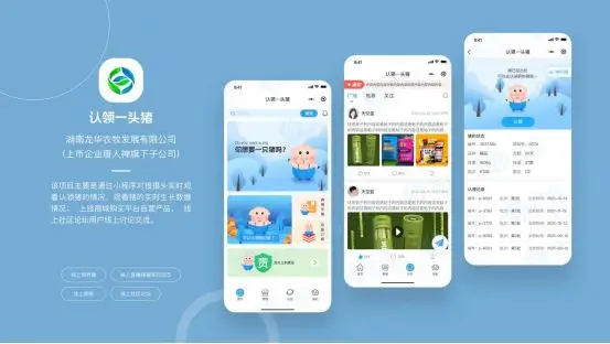 如何选择最适合你的上海App开发公司？全面指南与建议