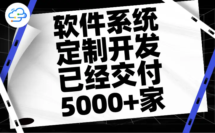 软件开发公司提供的全面系统定制服务详解