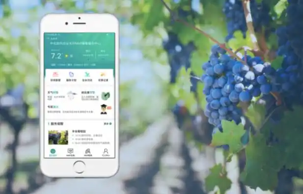 智慧农业APP开发优势解析：提升农业效率与精准度的关键工具